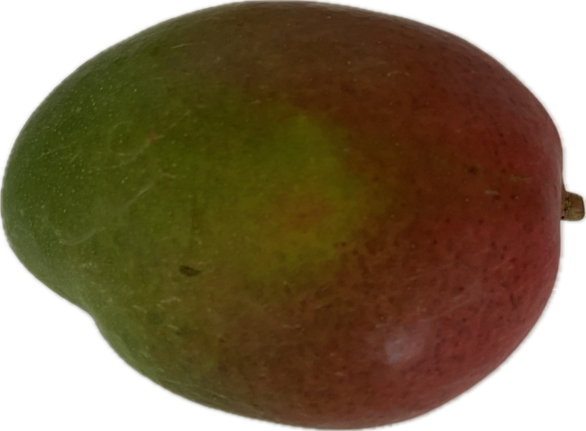 Mango 1 ks - Klas