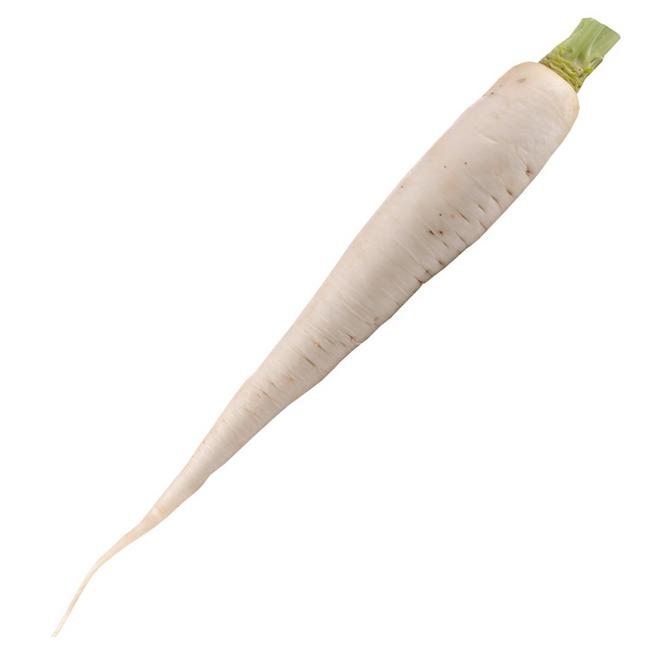 Reďkovka biela voľná - Klas