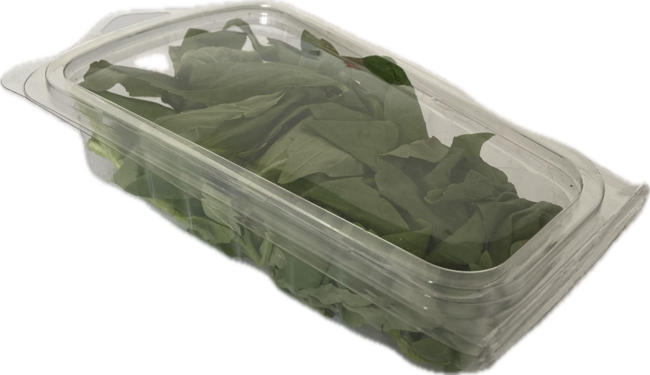 Bazalka 30 g - Klas