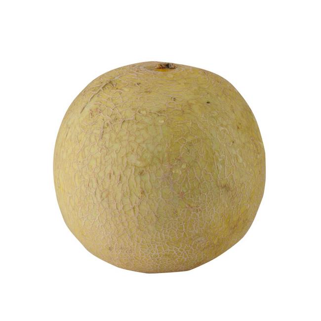 Melón Galia voľný - Klas